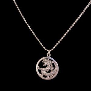 *5/35*  Dragon Amulet Ball Chain Necklace